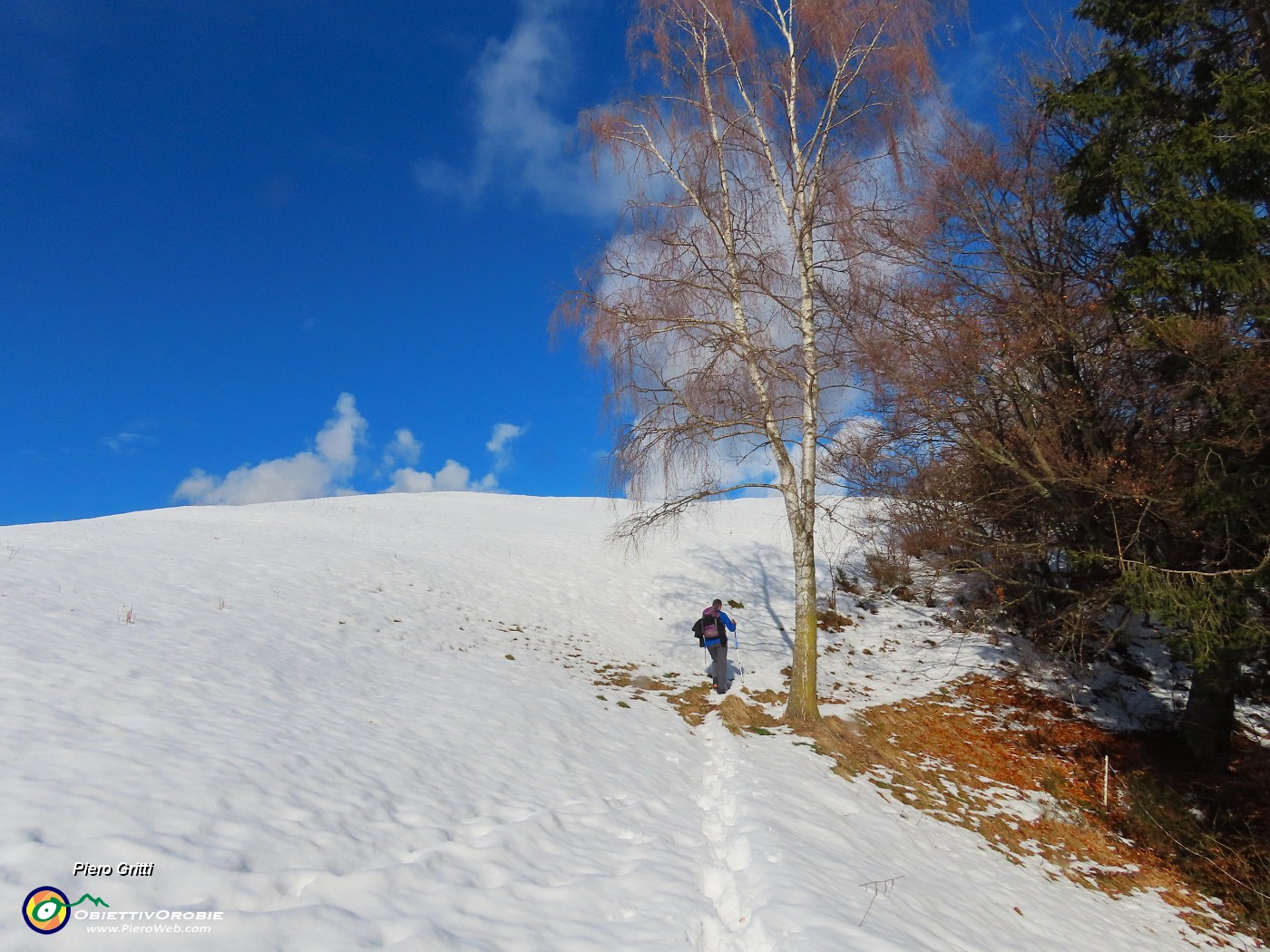 22 La traccia ci guida nel bosco.JPG